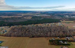 48.1 acres MORRIS MILL ROAD, MILLSBORO, DE 19966
