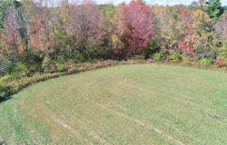 63530 Wintergreen Road, Lore City, OH 43755