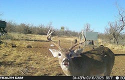 1434 CR 313, Gouldbusk, TX 76845