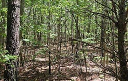 0 Sunset Rd, Spencer, TN 38585
