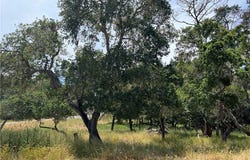0 Trenton Avenue, Cambria, CA 93428