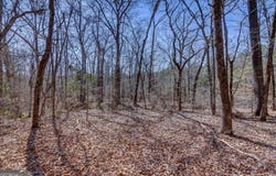 Lot 28 Benjamin Brown, Elberton, GA 30635