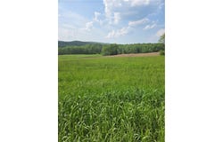 0 Backus Road, New Lisbon, NY 13810