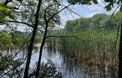 403 Guenther Ridge, Gaylord, MI 49735