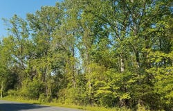 13101 VALLEY Drive, ROCKVILLE, MD 20850