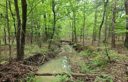 SE 136th Rd. Latimer County Oklahoma, Bengal, OK 74563