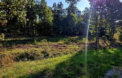 000 Tbd Pine Ridge Ln Lane, Mountain Grove, MO 65711