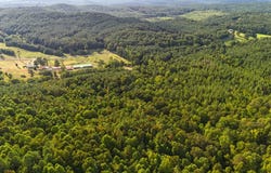 COUNTY ROAD 63 N, Carbon Hill, AL 35549