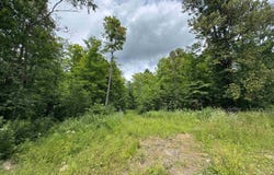 33 Acres Off Bates Amasa, Crystal Falls, MI 49920