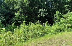760 Dubose Dr, Jamestown, TN 38556