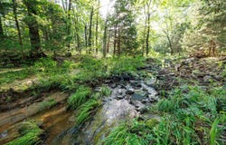 2670 Eagle Rd, Peru, KS 67360