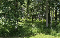 162 Sunshine Drive, Arapahoe, NC 28510