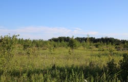 506 STEMPKY STREET, CHEBOYGAN, MI 49721