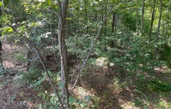 4345 Mt Unger Rd, Otway, OH 45657