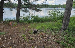 lot 12 Paradise Drive, South Branch, MI 48761