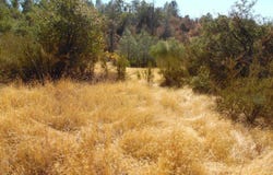 0 Lakeside Dr, Mountain Ranch, CA 95246