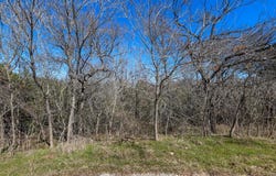 38107 Misty Ridge Drive, Whitney, TX 76692