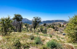 11111 Lower Cressman Road, Shaver Lake, CA 93664