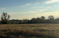 241 6th Street SE, Dover, MN 55929