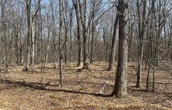 139 Rim Rock Lane, Hawley, PA 18428