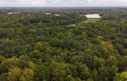 6040 Highway 28 E, Pine Apple, AL 36768