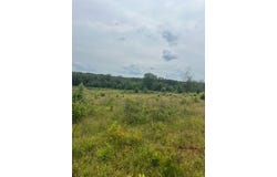 280 Martin Road, Plain Dealing, LA 71064