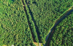 Coosa County Rd 85, Goodwater, AL 35072