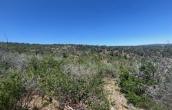 111 Cerro Montoso Rd, Taos, NM 87571