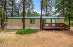 2175 Ruby Lane, Overgaard, AZ 85933
