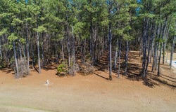 76 Chickory Lane, Minnesott Beach, NC 28510