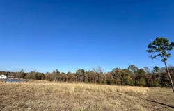 178 Eagle Creek Dr, Diana, TX 75640
