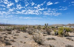 Cottonwood Cove Road, Searchlight, NV 89046