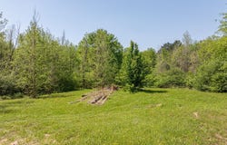 7200 S FM 144, Daingerfield, TX 75638
