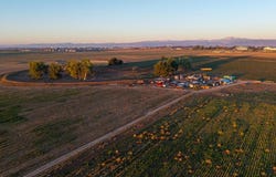 7824 E County Road 16, Johnstown, CO 80534