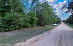 LOUISE Avenue, Interlachen, FL 32148