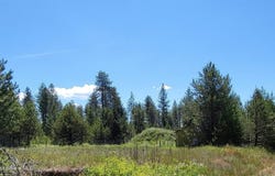 29222 North 1st Street, Athol, ID 83801