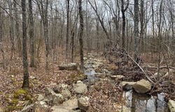 Lot 75 Mustang Drive, Clinton, AR 72031