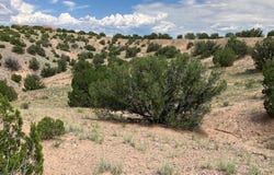 Private Drive 1613B lot: 3, Medanales, NM 87548