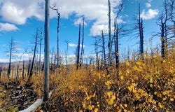 Galbreth Rd, Fort Garland, CO 81133