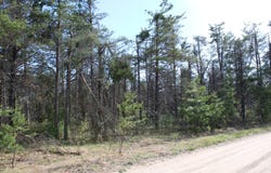 4489 Pine Road, Lewiston, MI 49756