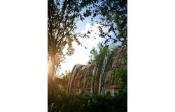 Av. Coba, Col Huracanes, Tulum, Q.R., Mexico, Tulum, 