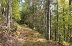 0 Indian Camp Run Road, Renovo, PA 17764