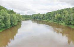 COUNTY ROAD 79, Littlefork, MN 56649