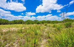 4568 FM 2828, Bandera, TX 78003