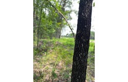 140 Deerfield Road, Colbert, OK 74733