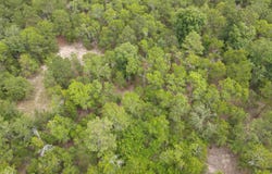1409 Robinson Town Road 3, Cassatt, SC 29032