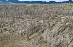 15015 E Eistrup Rd, Elk, WA 99009