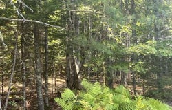 009 Morgan Bay Road, Surry, ME 04684