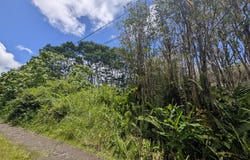 KEOLA PL, Mountain View, HI 96771