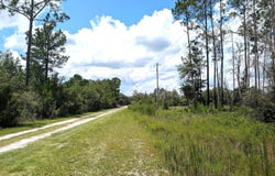 SE 92ND Street, Starke, FL 32091